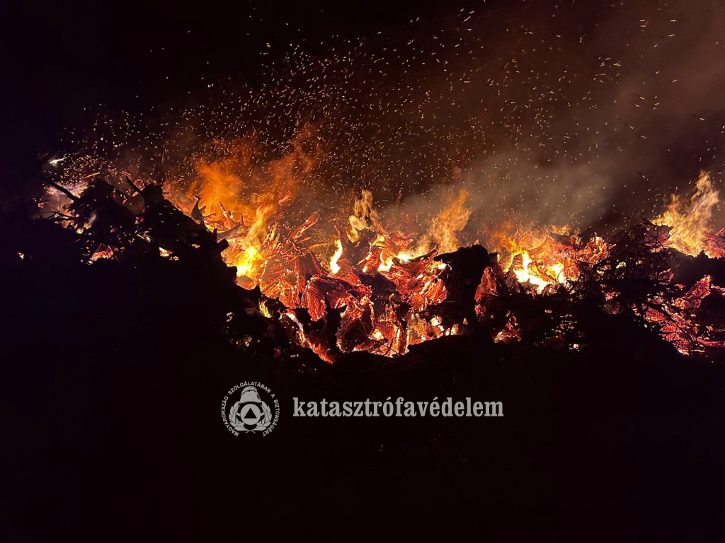 Nyírbogdány fagyökérzet ég