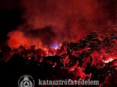 Nyírbogdány fagyökérzet ég