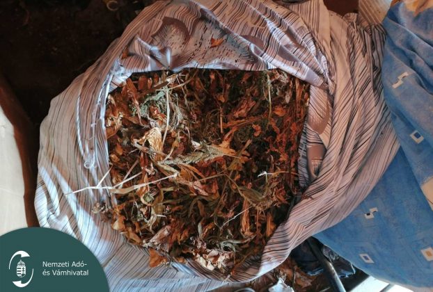 szárított illegális dohány