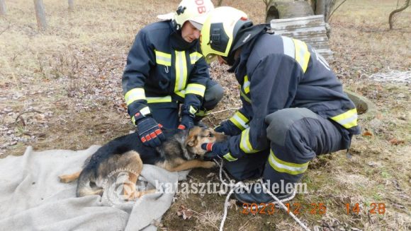 Karácsonyi kutyamentés Nyírgelsén