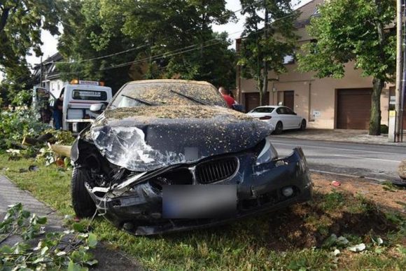 Ittasan hajtott egy fának