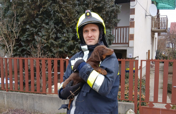 Csőbe szorult egy kutya Ibrányban