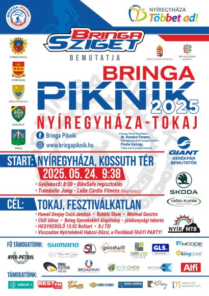 Bringa Piknik 2025