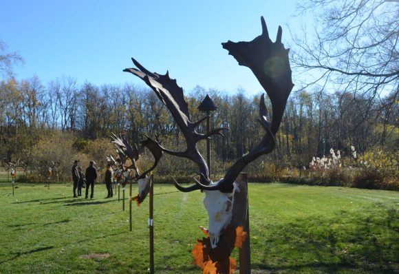 Trófeaszemlét tartott a NYÍRERDŐ Zrt. Gúthi Erdészete Nyíradony-Gúthpusztán