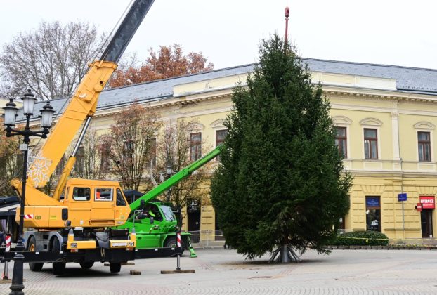 Nyíregyháza karácsonyfája