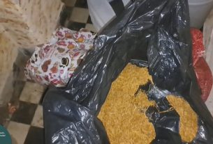 Lószerszámok közt találtak a dohányra a szabolcsi pénzügyőrök