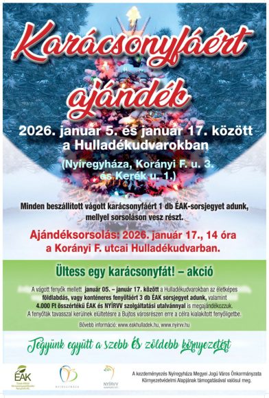 Karácsonyfagyűjtő akciót szerveznek Nyíregyházán