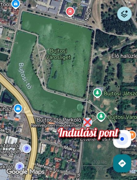 Közösségi sétát tartanak a Kutyapajtik Nyíregyházán