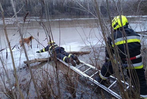 Kutyát mentettek az ibrányi tűzoltók