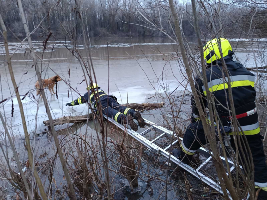 Kutyát mentettek az ibrányi tűzoltók