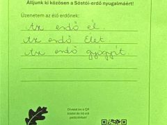 Élőlánccal és piknikkel védték a nyíregyháziak a Sóstói-erdőt