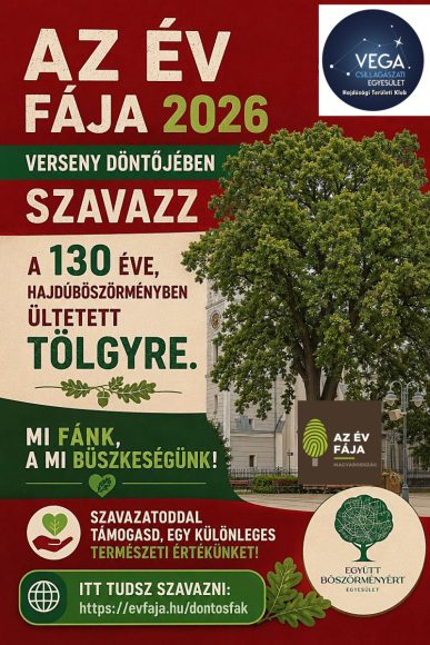 Az Év Fája