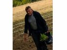 Palántatolvajt keres a nyíregyházi rendőrség