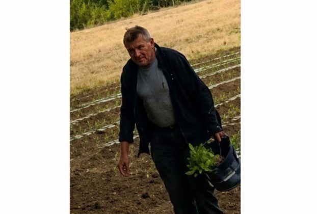 Palántatolvajt keres a nyíregyházi rendőrség