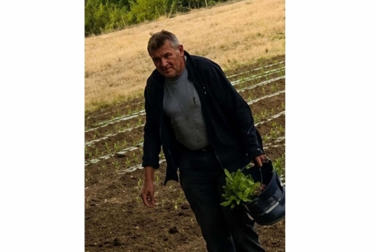 Palántatolvajt keres a nyíregyházi rendőrség
