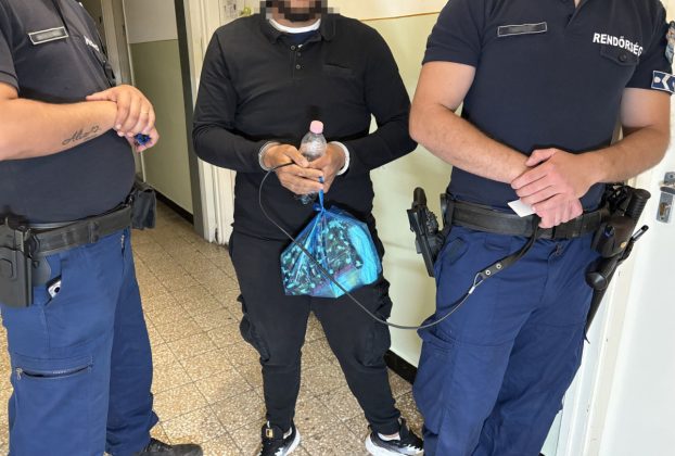Két autólopás, két kifizetetlen tankolás, engedély nélküli vezetés - kalandosan élt a leveleki fiatal férfi