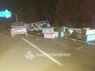 Méhkaptárak szóródtak szét az M3-as autópályán történt baleset után