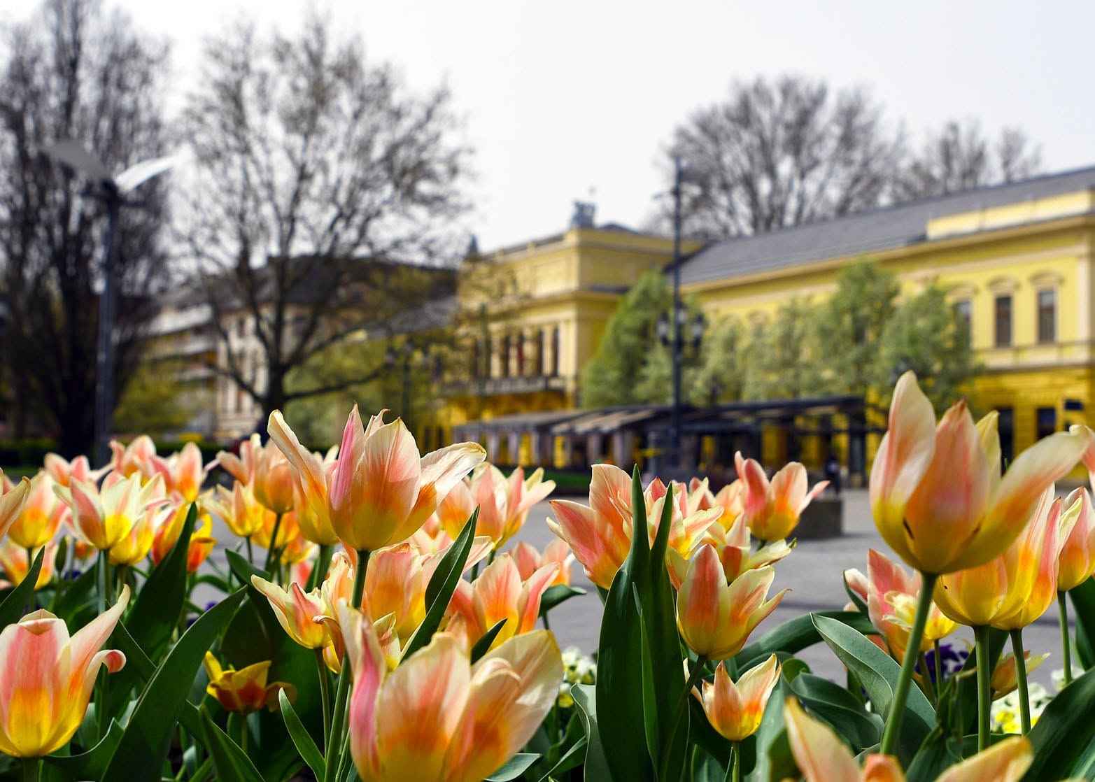 NYÍRVV