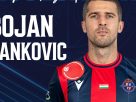 Bojan Sankovic